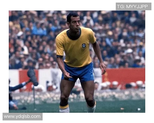 足球史上十大传奇球星排名及其历史地位分析