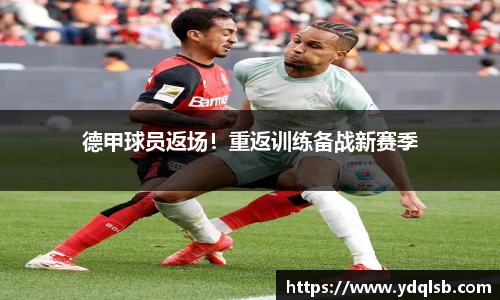智博19有限公司