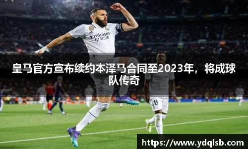 智博19有限公司