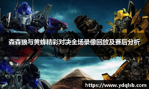 森森狼与黄蜂精彩对决全场录像回放及赛后分析